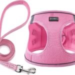 Dog Harness with Leash Set, Step-in Adjustable Puppy Pet Vest, Pink XS