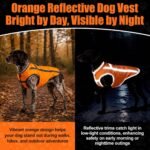 Reflective Dog Hunting Vest, High-Visibility Blaze Orange Dog Jacket, XL - Image 3