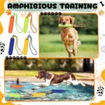 Skylety 4 Pack Floating Dog Toy with Rope Handle - Image 3