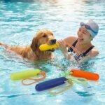 Skylety 4 Pack Floating Dog Toy with Rope Handle - Image 6