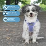 Voyager Step-in Flex Adjustable Dog Harness - Lavender, Medium - Image 2