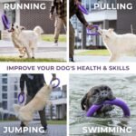 COLLAR Puller Dog Toy Ring for Small Medium Large Dogs Fetch Floating Disc - Image 4