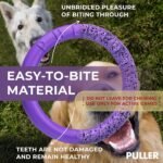 COLLAR Puller Dog Toy Ring for Small Medium Large Dogs Fetch Floating Disc - Image 5