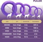 COLLAR Puller Dog Toy Ring for Small Medium Large Dogs Fetch Floating Disc - Image 6