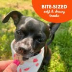 Buddy Biscuits 8 oz Bag of Softies Soft & Chewy Dog Treats, Peanut Butter - Image 7