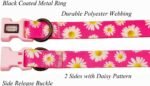 Dog Collar and Leash Set, Cute Pink Daisy Pattern, Polyester Material, 5ft Leash, for Small Dogs.(S, Daisy Set) - Image 3