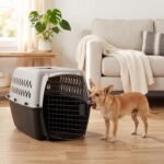 Black and Gray Hard‑Sided Plastic Pet Carrier, TSA Approved Travel Kennel with Ventilation & Built‑in Handle, Recycled Material Crate for Small Pets - Image 3