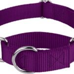 Country Brook Petz – Martingale Dog Collar – Heavy-Duty Training Collar with No Buckle – Service Dog Collar for All Pups – 20 Vibrant Colors (Purple, 1 Inch, Medium)