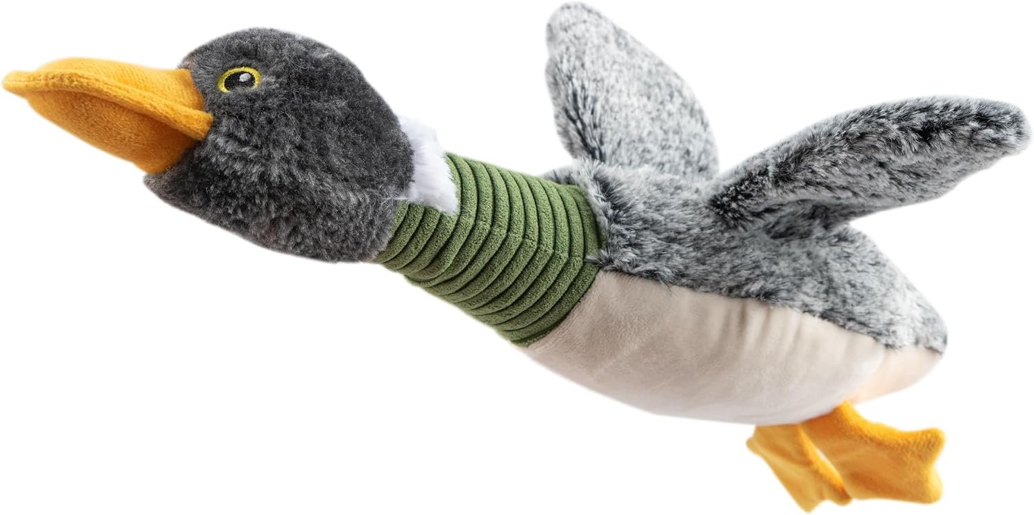 Best Pet Supplies Interactive Squeaky Dog Chew Toy, Ideal Dog Toys for Chewers, Small, Medium & Large Dogs, and Fetch Lovers – Mallard Duck Wing (Gray), Large Best Pet Supplies Interactive Squeaky Dog Chew Toy, Ideal Dog Toys for Chewers, Small, Medium & Large Dogs, and Fetch Lovers – Mallard Duck Wing (Gray), Large