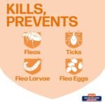 Hartz UltraGuard Dual Action Flea & Tick Topical Dog Treatment and Flea and Tick Prevention, 6 Months, 5-14 Pound Dogs 6-count(Pack of 1) - Image 3