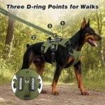 WINGOIN Escape Proof Dog Harness,No Pull for Large Dog with Handle,Green,XL - Image 5