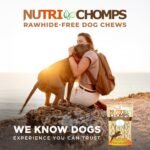 Nutri Chomps Rawhide Free Dog Chews, Real Milk Flavor, 6in Braids, 4ct - Image 6