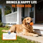 FURWEY Colorful Tennis Balls for Dogs, 2.5 inches, 16 Pack, Non Squeaky - Image 7