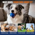 FURWEY Colorful Tennis Balls for Dogs, 2.5 inches, 16 Pack, Non Squeaky - Image 9
