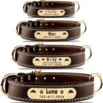Personalized Dog Collar – Custom Leather Dog Collar with Engravable Nameplate – Durable Name Tag Collar – Customizable Dog Collar – Comfortable ID Collars for Small, Medium, Large Dogs (Medium)