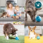 Our Pets Smarter Toys IQ Treat Ball - Colors Mary Vary - 4" - for Larger Dogs - Image 8