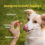 PENPEN Dog Probiotics Supplement for Digestive Health and Immune Support - Image 5