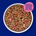 Kibbles 'n Bits Bistro Mini Bits Small Breed Dry Dog Food, Oven Roasted Beef, Spring Vegetable & Apple Flavors for Adult Dogs, 16 lb. Bag - Image 3