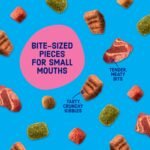 Kibbles 'n Bits Bistro Mini Bits Small Breed Dry Dog Food, Oven Roasted Beef, Spring Vegetable & Apple Flavors for Adult Dogs, 16 lb. Bag - Image 5