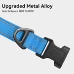 Joytale Reflective Dog Collar, Adjustable Neoprene Padded, Sky Blue M - Image 3