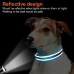 Joytale Reflective Dog Collar, Adjustable Neoprene Padded, Sky Blue M - Image 5