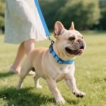 Joytale Reflective Dog Collar, Adjustable Neoprene Padded, Sky Blue M - Image 6