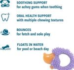 Cutie Chewies Hedgehog Dental Dog Chew Toy, Bounces & Floats, 5" - Image 4