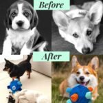 Interactive Snuffle Ball for Dog Toys Unbreakable Upgrade Ball Toy - Image 5