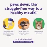 Petsmile VOHC Accepted Pet Toothpaste, London Broil 2.5 Oz, Cats + Dogs - Image 3