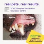 Petsmile VOHC Accepted Pet Toothpaste, London Broil 2.5 Oz, Cats + Dogs - Image 4
