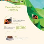 GATHER Endless Valley Vegan Dry Dog Food with Grains, Healthy Plant-Based Kibble Made with Organic & Non-GMO Ingredients, Chicken-Free for Sensitive Stomachs, for Adults & Seniors, 16 lb Bag - Image 6