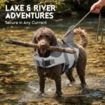 ASENKU Dog Life Jacket - Pet Safety Vest for Swimming & Boating, Shark Life Jacket with Floatation, Dog Lifesavers Swimsuits for Small Medium Large Dogs (Grey, XL) - Image 7