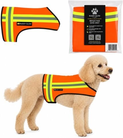 Reflective Dog Vest – Hi-Vis Blaze Orange Safety Vest for Hunting, Walks, Hikes & Everyday Outdoor Visibility – 360° Reflective Tape, Adjustable Fit (Small)
