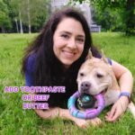 Dog Toys for Aggressive Chewers Large Medium Small Breed Indestructible - Image 2
