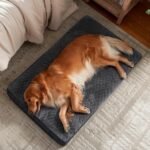 JOEJOY Orthopedic Dog Bed for Large Dogs, Washable Dog Crate Bed Large Sized with Removable Cover, Egg Memory Foam Big Pet Beds, Grey, 35"x22" - Image 7