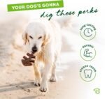 Benebone Fishbone Durable Dog Chew Toy for Aggressive Chewers, Medium - Image 3