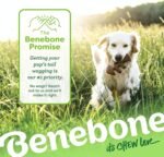 Benebone Fishbone Durable Dog Chew Toy for Aggressive Chewers, Medium - Image 6