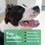 Dog Dental Powder, Dog Teeth Cleaning Breath Freshener - Image 5