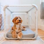 Diggs Evolv Modular Dog Crate for Dogs 18-22" Tall, Ash, Intermediate - Image 8