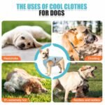 Cooling Vest for Dogs - Breathable Dog Cooling Vest UV Protection, Summer Heat Relief Gear for Small Medium Large Dogs, Lightweight, Evaporative Cooling - Dog Anxiety Relief Vest During Hot Days - Image 5