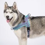 Didog No Pull Dog Harness for Medium Dogs, Soft Flannel Padded,Mixed-Blue,M - Image 7
