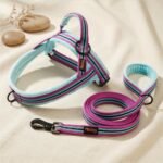 Didog No Pull Dog Harness for Medium Dogs, Soft Flannel Padded,Mixed-Blue,M - Image 8