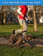 in Training Dog Leash Sleeve - Funny Yellow Alert Wrap with Hanging ID Patch | Ask Before Petting Service Dog Accessory, Perfect Pet Birthday Gift for Dog Owners - Image 5