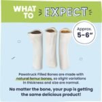 Pawstruck Large Filled Bones Variety Pack, Beef Femur Dog Chew, 3 Pack - Image 6