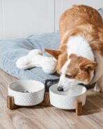 LE TAUCI Dog Bowl Set with Acacia Wood Stand - 1.8-Cup Ceramic Puppy Bowls for Small Dogs, Dual Food and Water Bowls with Weighted Non-Slip Base - Image 4