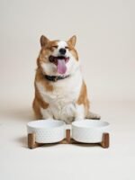 LE TAUCI Dog Bowl Set with Acacia Wood Stand - 1.8-Cup Ceramic Puppy Bowls for Small Dogs, Dual Food and Water Bowls with Weighted Non-Slip Base - Image 5