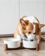 LE TAUCI Dog Bowl Set with Acacia Wood Stand - 1.8-Cup Ceramic Puppy Bowls for Small Dogs, Dual Food and Water Bowls with Weighted Non-Slip Base - Image 6