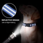 Martingale Collar for Dogs,Reflective Escape Proof,Blue,M - Image 2