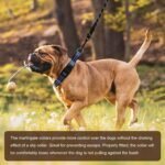 Martingale Collar for Dogs,Reflective Escape Proof,Blue,M - Image 4