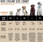 Reflective Waterproof D & Center Ring Dog Collar w Custom Name Tag, Teal - Image 4